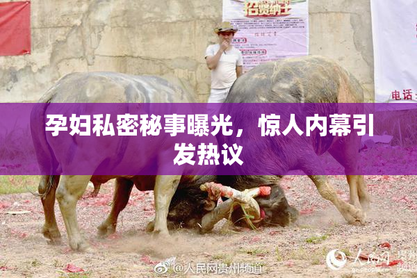孕妇私密秘事曝光，惊人内幕引发热议