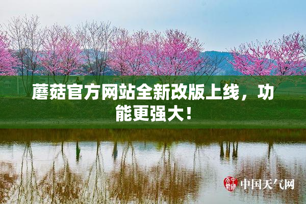 蘑菇官方网站全新改版上线，功能更强大！