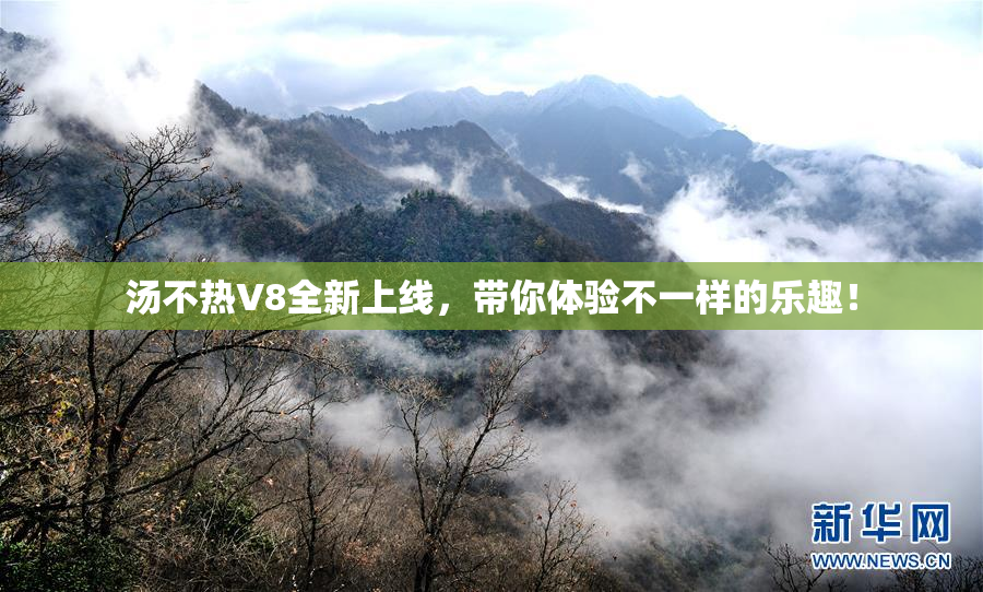 汤不热V8全新上线，带你体验不一样的乐趣！