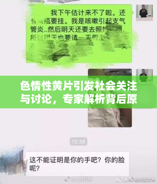 色情性黄片引发社会关注与讨论，专家解析背后原因