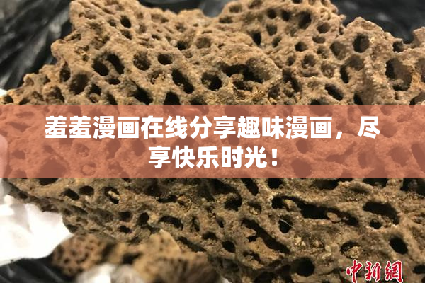 羞羞漫画在线分享趣味漫画，尽享快乐时光！