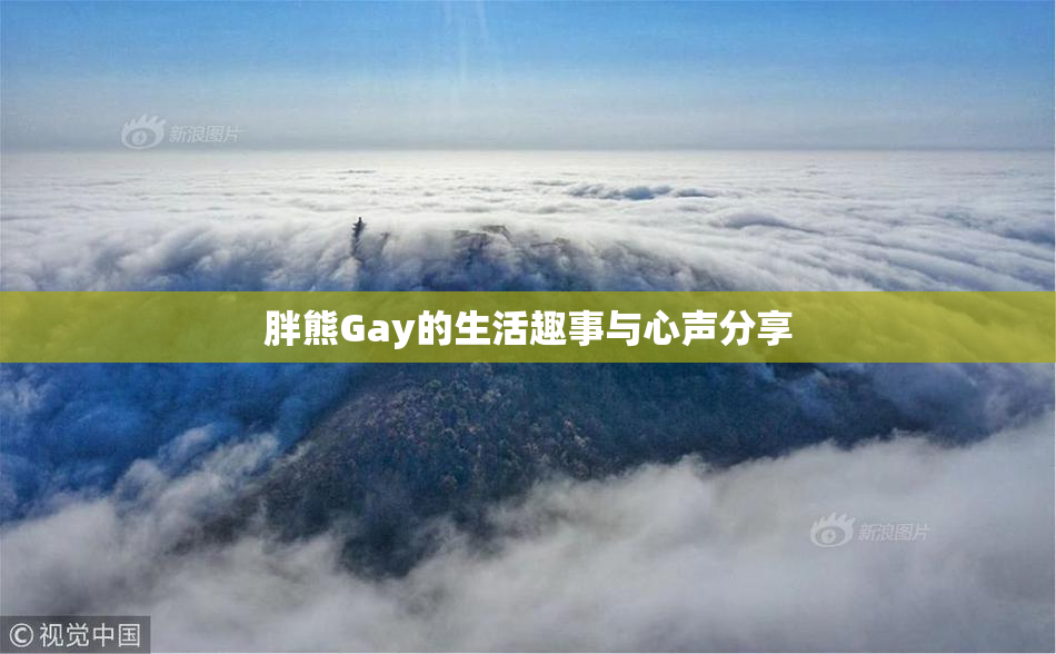 胖熊Gay的生活趣事与心声分享