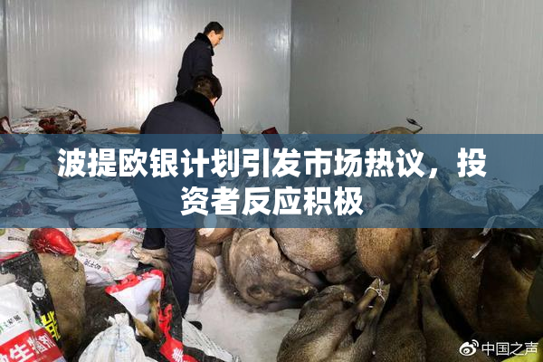波提欧银计划引发市场热议，投资者反应积极