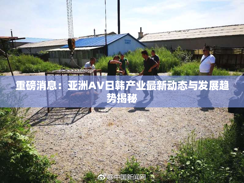 重磅消息：亚洲AV日韩产业最新动态与发展趋势揭秘