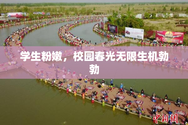 学生粉嫩，校园春光无限生机勃勃