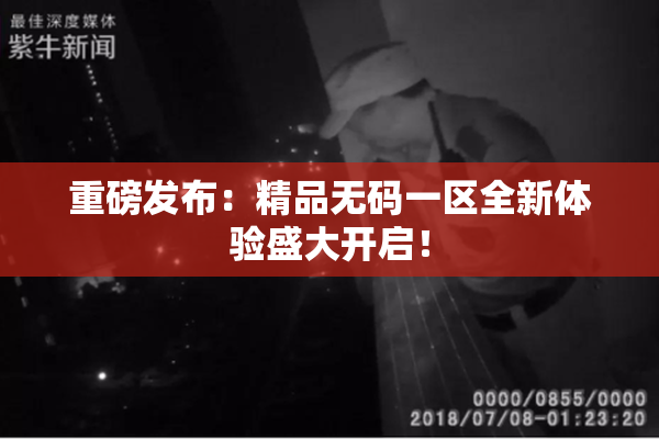 重磅发布：精品无码一区全新体验盛大开启！