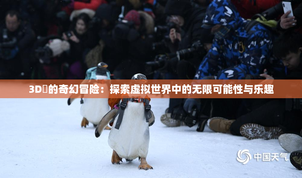 3D姉的奇幻冒险：探索虚拟世界中的无限可能性与乐趣