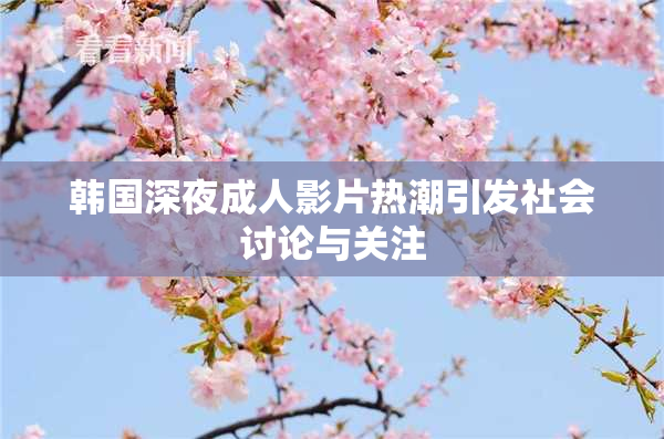 韩国深夜成人影片热潮引发社会讨论与关注