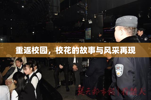 重返校园，校花的故事与风采再现