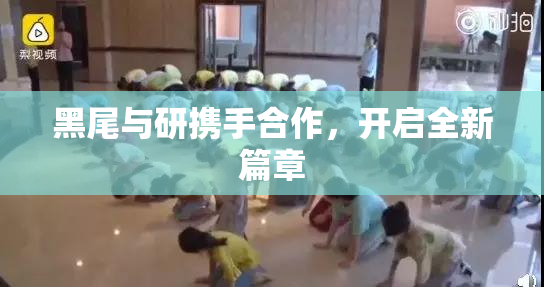黑尾与研携手合作，开启全新篇章