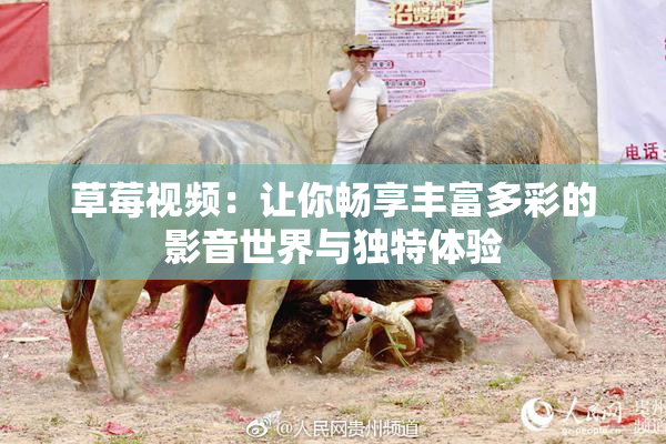 草莓视频：让你畅享丰富多彩的影音世界与独特体验