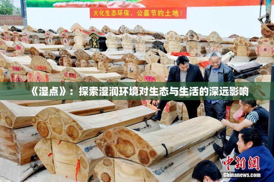 《湿点》：探索湿润环境对生态与生活的深远影响