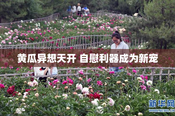 黄瓜异想天开 自慰利器成为新宠