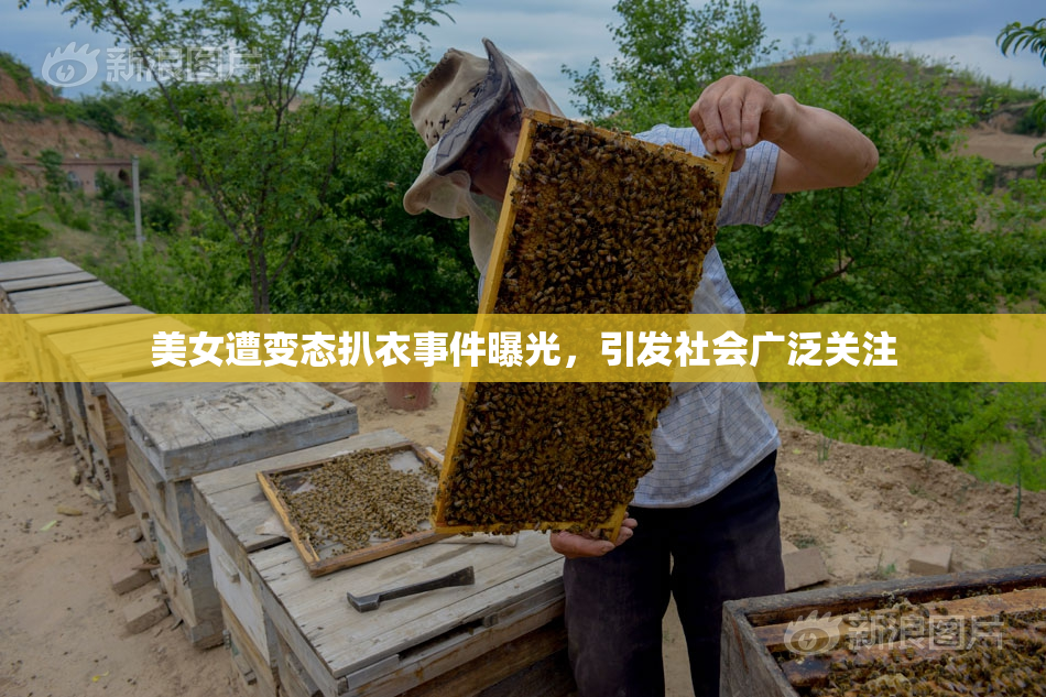 美女遭变态扒衣事件曝光，引发社会广泛关注