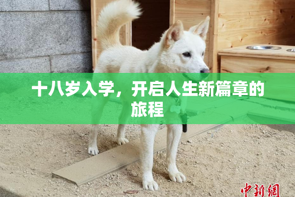 十八岁入学，开启人生新篇章的旅程