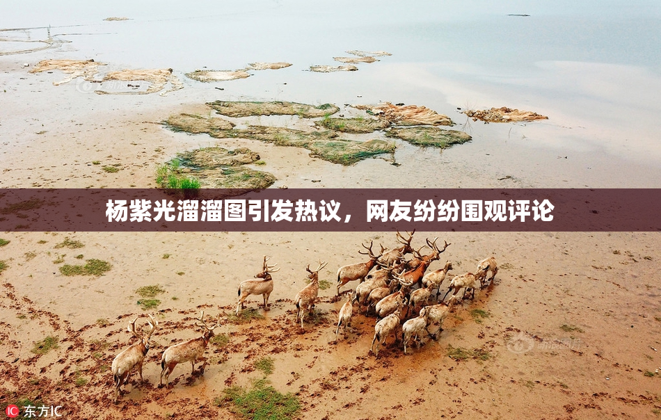 杨紫光溜溜图引发热议，网友纷纷围观评论