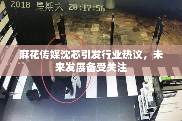麻花传媒沈芯引发行业热议，未来发展备受关注