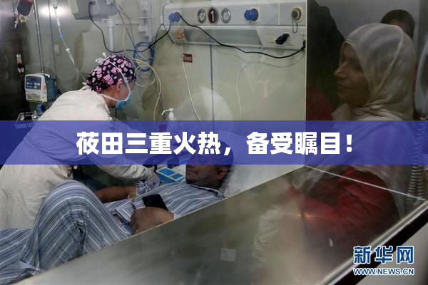 莜田三重火热，备受瞩目！