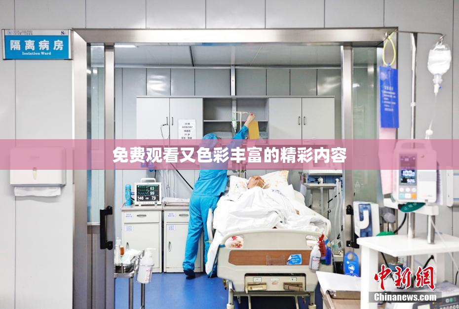 免费观看又色彩丰富的精彩内容