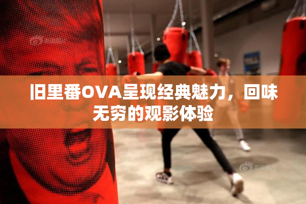 旧里番OVA呈现经典魅力，回味无穷的观影体验