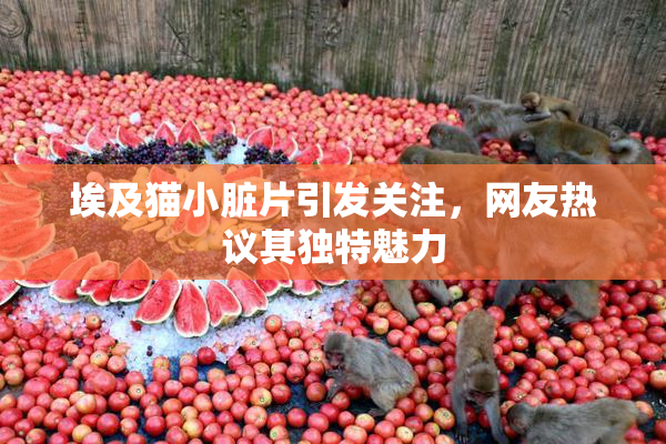 埃及猫小脏片引发关注，网友热议其独特魅力