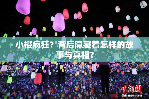 小樱疯狂？背后隐藏着怎样的故事与真相？