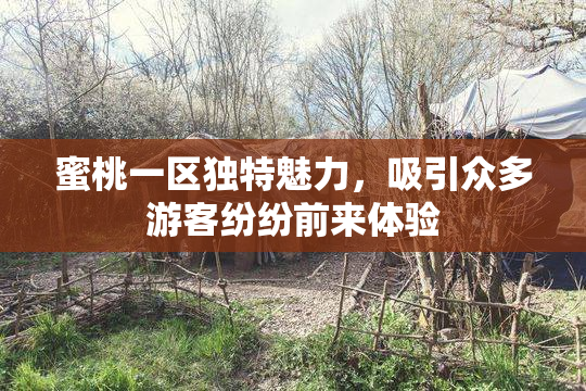 蜜桃一区独特魅力，吸引众多游客纷纷前来体验