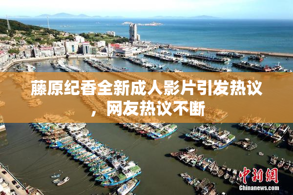 藤原纪香全新成人影片引发热议，网友热议不断