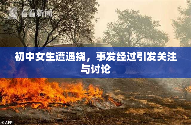 初中女生遭遇挠，事发经过引发关注与讨论
