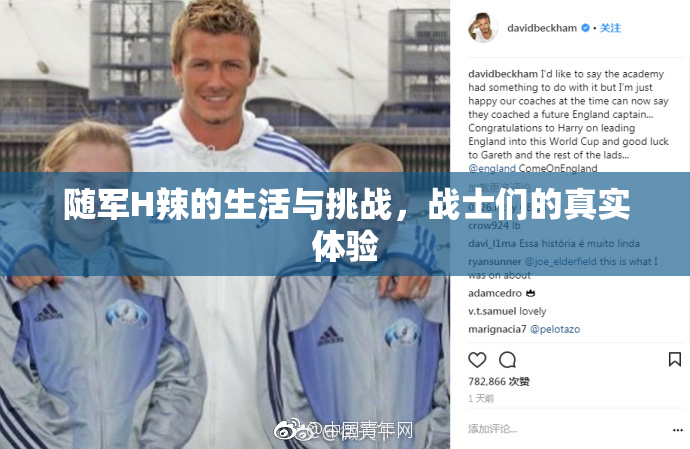 随军H辣的生活与挑战，战士们的真实体验