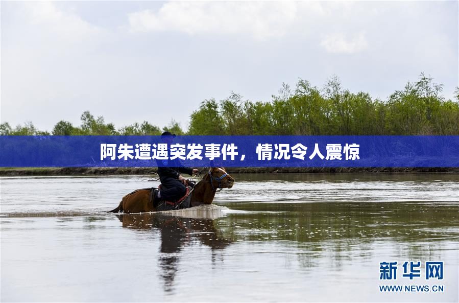 阿朱遭遇突发事件，情况令人震惊