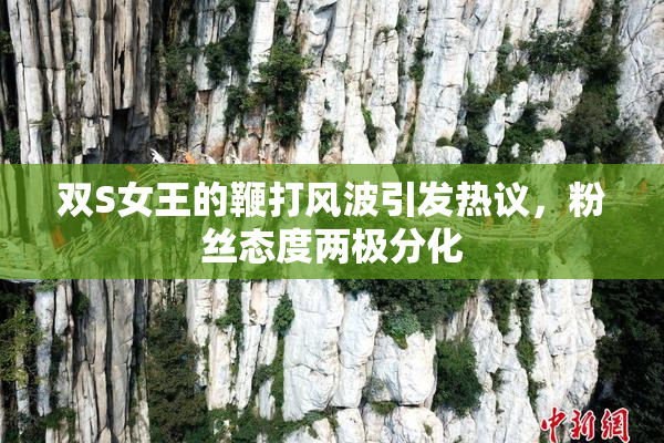 双S女王的鞭打风波引发热议，粉丝态度两极分化