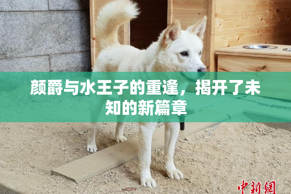颜爵与水王子的重逢，揭开了未知的新篇章