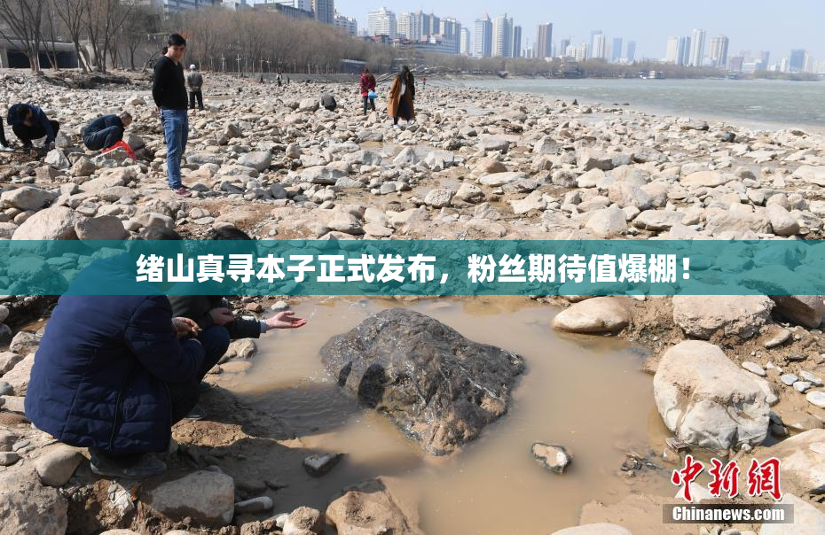 绪山真寻本子正式发布，粉丝期待值爆棚！