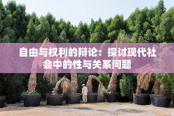 自由与权利的辩论：探讨现代社会中的性与关系问题