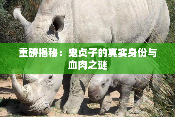 重磅揭秘：鬼贞子的真实身份与血肉之谜
