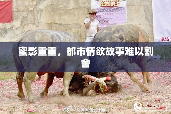 蜜影重重，都市情欲故事难以割舍