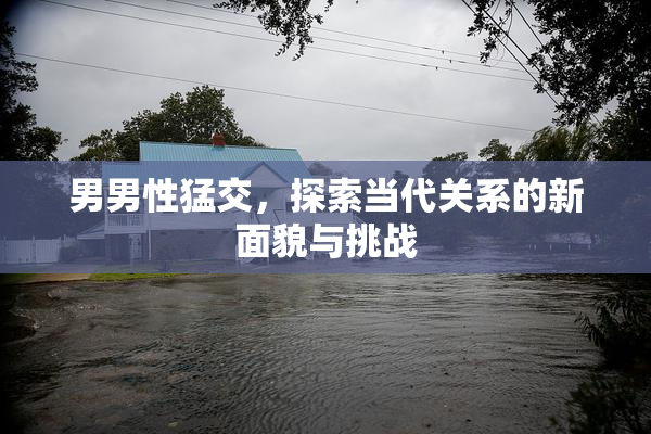 男男性猛交，探索当代关系的新面貌与挑战