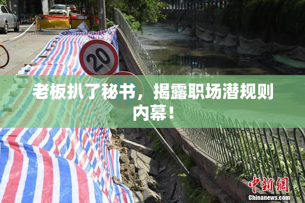 老板扒了秘书，揭露职场潜规则内幕！