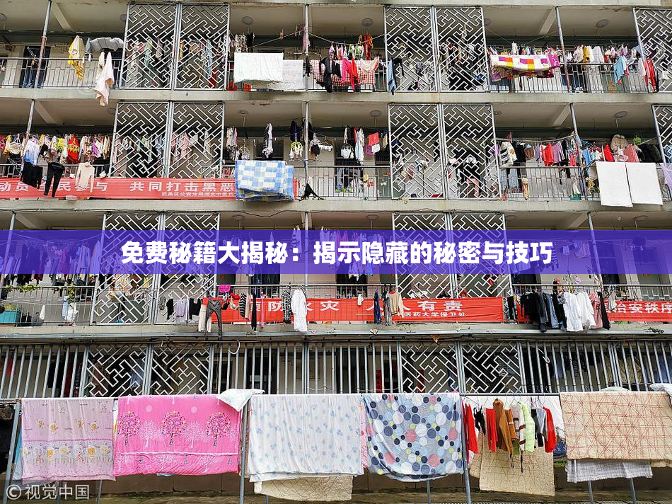 免费秘籍大揭秘：揭示隐藏的秘密与技巧