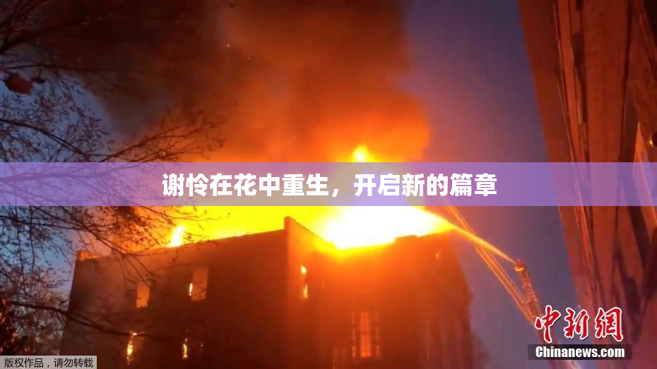 谢怜在花中重生，开启新的篇章