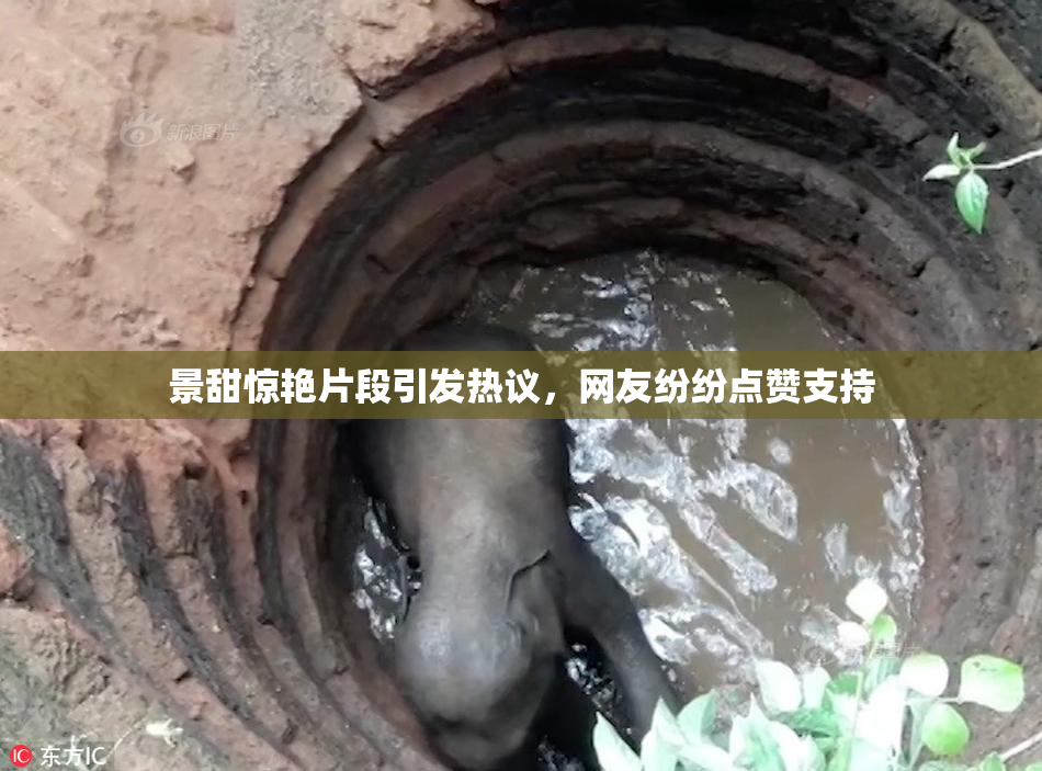 景甜惊艳片段引发热议，网友纷纷点赞支持