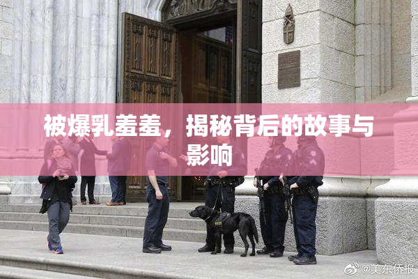 被爆乳羞羞，揭秘背后的故事与影响