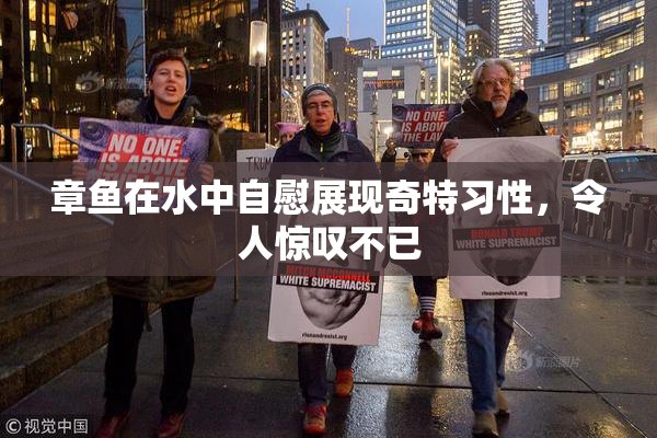 章鱼在水中自慰展现奇特习性，令人惊叹不已