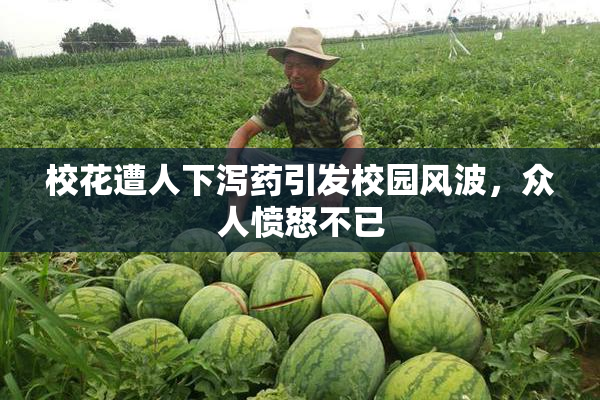 校花遭人下泻药引发校园风波，众人愤怒不已