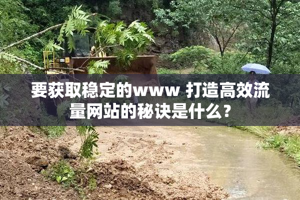 要获取稳定的www 打造高效流量网站的秘诀是什么？