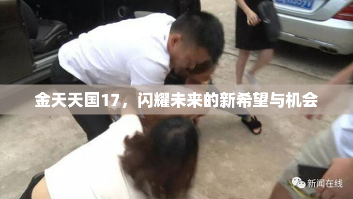 金天天国17，闪耀未来的新希望与机会