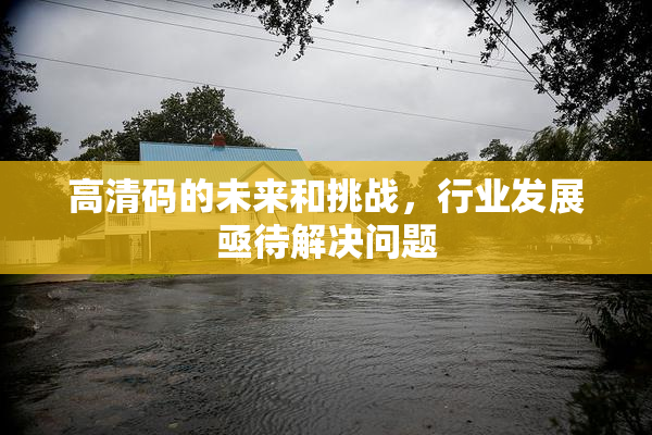 高清码的未来和挑战，行业发展亟待解决问题