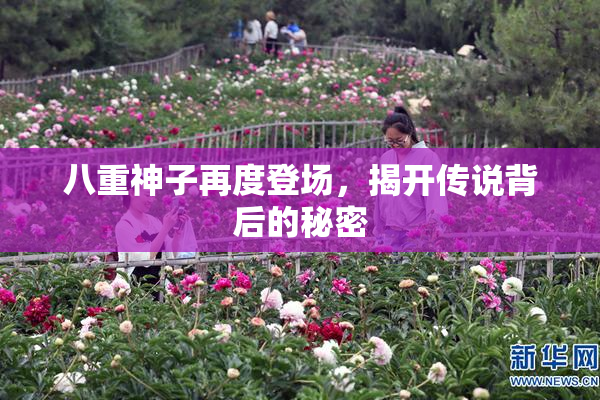 八重神子再度登场，揭开传说背后的秘密