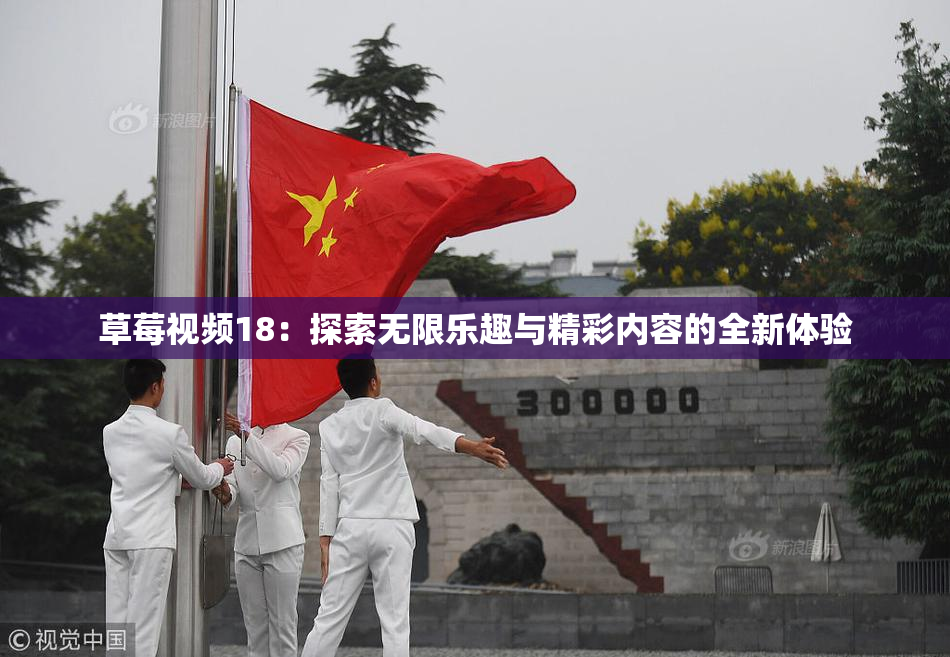 草莓视频18：探索无限乐趣与精彩内容的全新体验